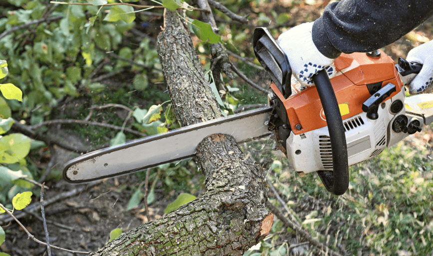 Brock's Tree Service
